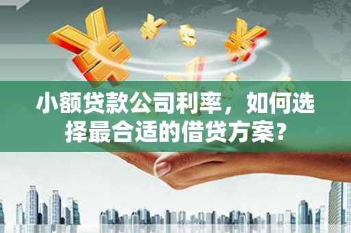 徐闻小额贷款公司利率，如何选择最合适的借贷方案？