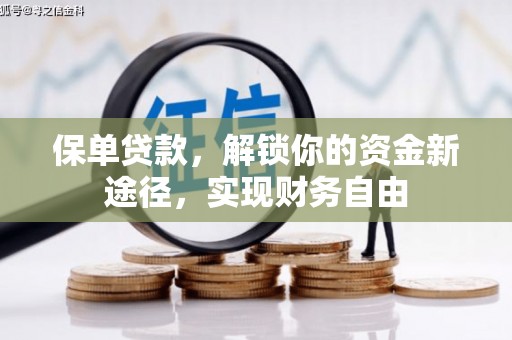 徐闻保单贷款，解锁你的资金新途径，实现财务自由