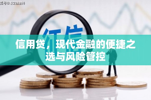 徐闻信用贷，现代金融的便捷之选与风险管控