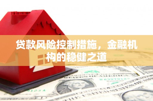 徐闻贷款风险控制措施，金融机构的稳健之道