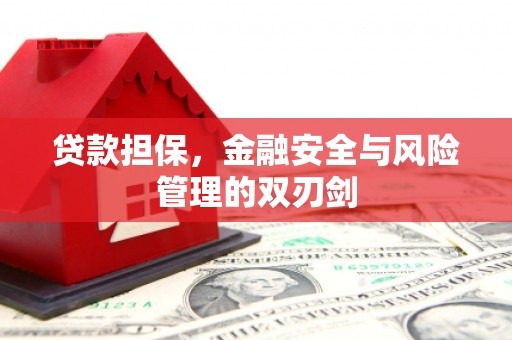 徐闻贷款担保，金融安全与风险管理的双刃剑