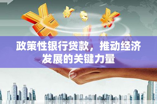 徐闻政策性银行贷款，推动经济发展的关键力量