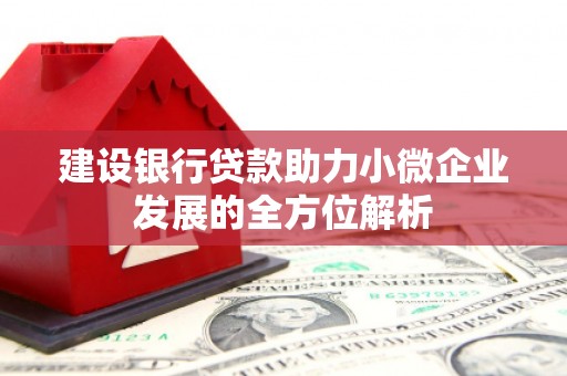 徐闻建设银行贷款助力小微企业发展的全方位解析