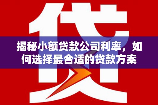 徐闻揭秘小额贷款公司利率，如何选择最合适的贷款方案