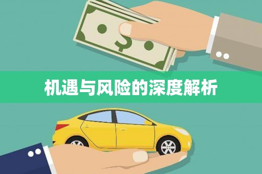 徐闻机遇与风险的深度解析