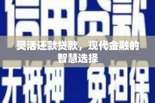 徐闻灵活还款贷款，现代金融的智慧选择