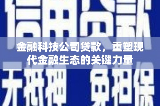 徐闻金融科技公司贷款，重塑现代金融生态的关键力量