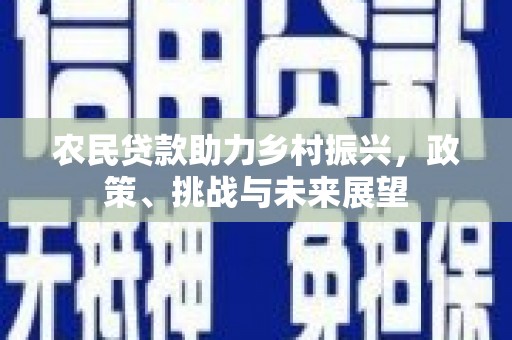 徐闻农民贷款助力乡村振兴，政策、挑战与未来展望