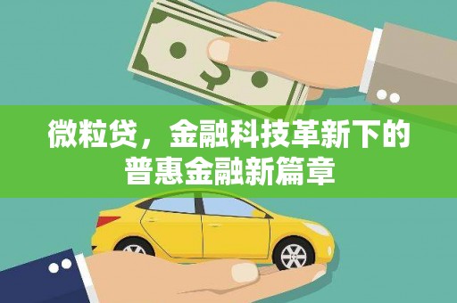 徐闻微粒贷，金融科技革新下的普惠金融新篇章