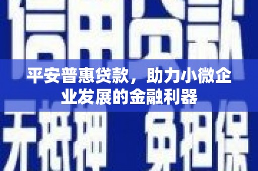 徐闻平安普惠贷款，助力小微企业发展的金融利器