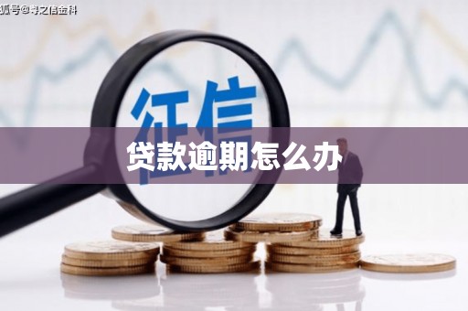 徐闻贷款逾期怎么办