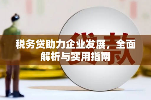 徐闻税务贷助力企业发展，全面解析与实用指南