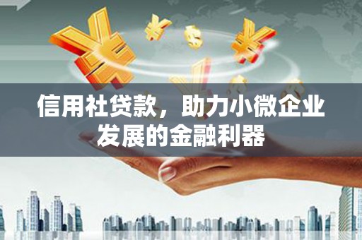 徐闻信用社贷款，助力小微企业发展的金融利器