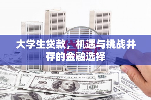 徐闻大学生贷款，机遇与挑战并存的金融选择