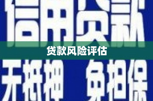 徐闻贷款风险评估