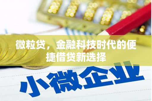 徐闻微粒贷，金融科技时代的便捷借贷新选择
