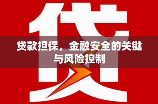 徐闻贷款担保，金融安全的关键与风险控制