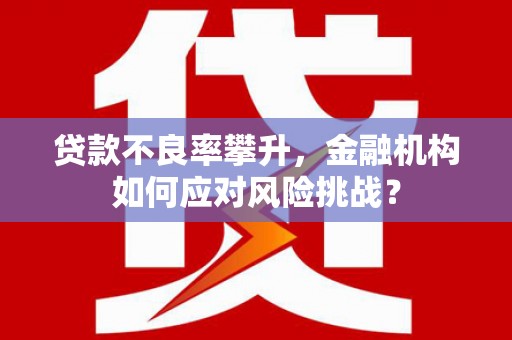 徐闻贷款不良率攀升，金融机构如何应对风险挑战？