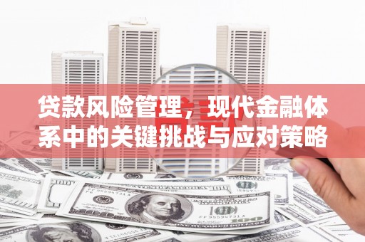 徐闻贷款风险管理，现代金融体系中的关键挑战与应对策略