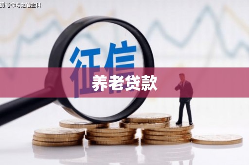 徐闻养老贷款