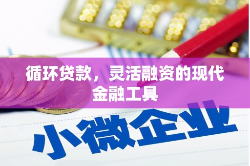 徐闻循环贷款，灵活融资的现代金融工具
