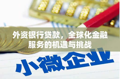 徐闻外资银行贷款，全球化金融服务的机遇与挑战