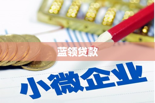 徐闻蓝领贷款