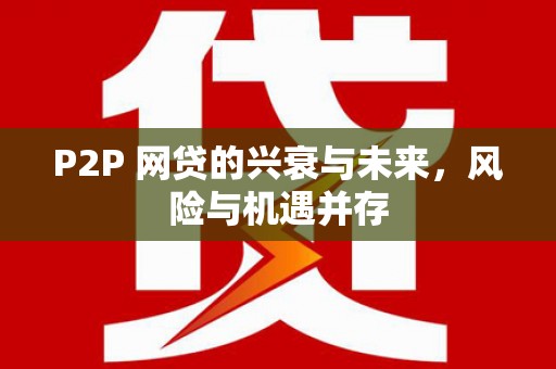 徐闻P2P 网贷的兴衰与未来，风险与机遇并存