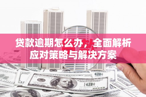 徐闻贷款逾期怎么办，全面解析应对策略与解决方案