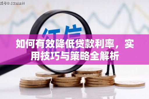 徐闻如何有效降低贷款利率，实用技巧与策略全解析