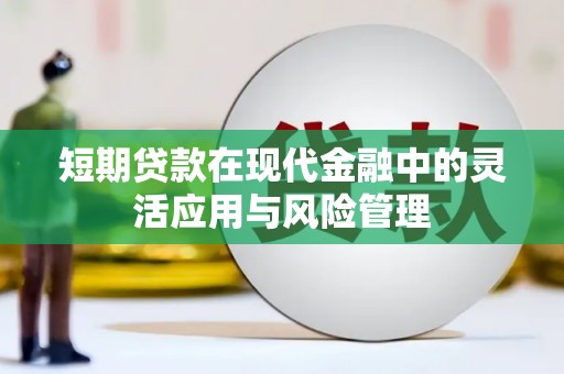 徐闻短期贷款在现代金融中的灵活应用与风险管理