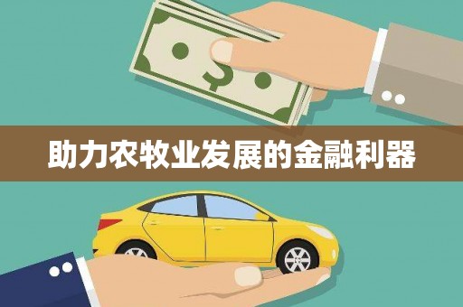 徐闻助力农牧业发展的金融利器