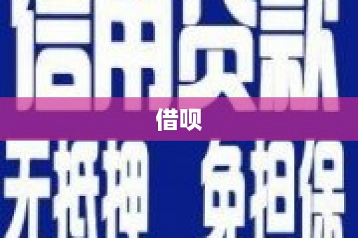 徐闻借呗