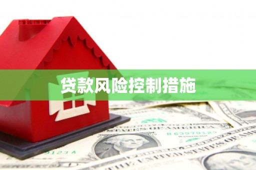 徐闻贷款风险控制措施