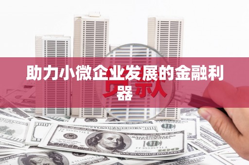 徐闻助力小微企业发展的金融利器
