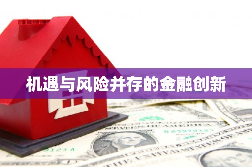 徐闻机遇与风险并存的金融创新