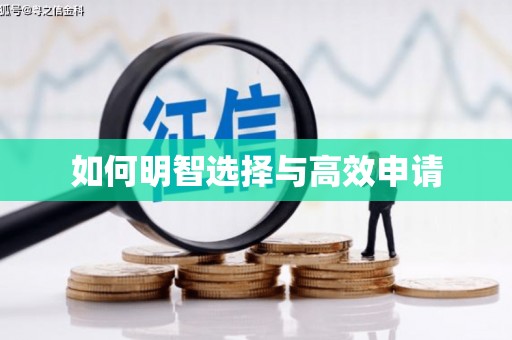 徐闻如何明智选择与高效申请