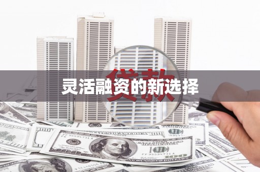 徐闻灵活融资的新选择