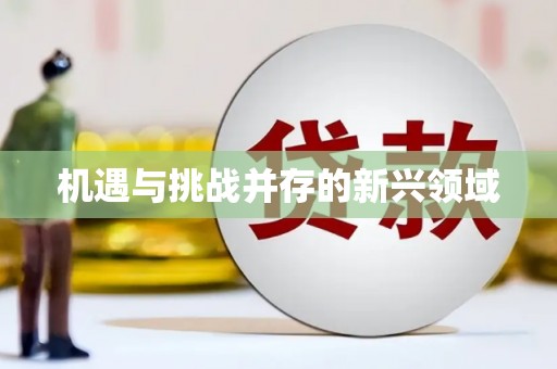 徐闻机遇与挑战并存的新兴领域