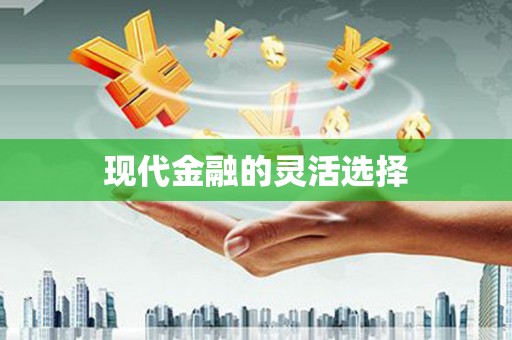 徐闻现代金融的灵活选择