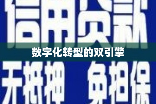 徐闻数字化转型的双引擎