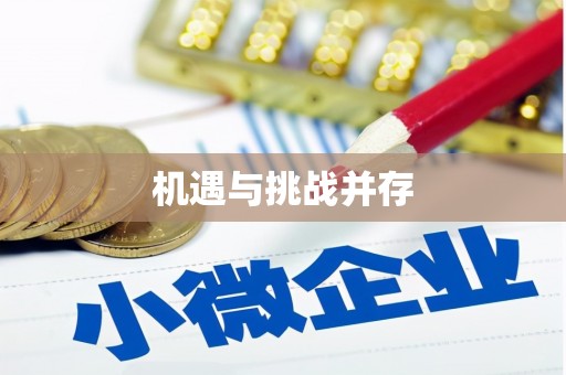 徐闻机遇与挑战并存