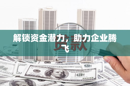 徐闻解锁资金潜力，助力企业腾飞