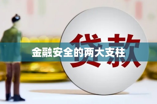 徐闻金融安全的两大支柱