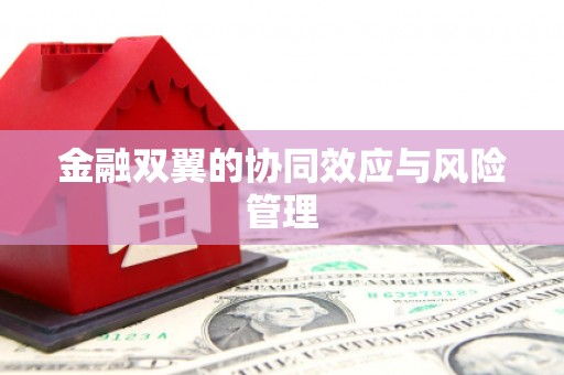 徐闻金融双翼的协同效应与风险管理