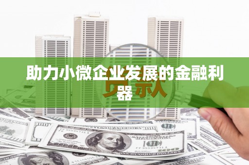 徐闻助力小微企业发展的金融利器