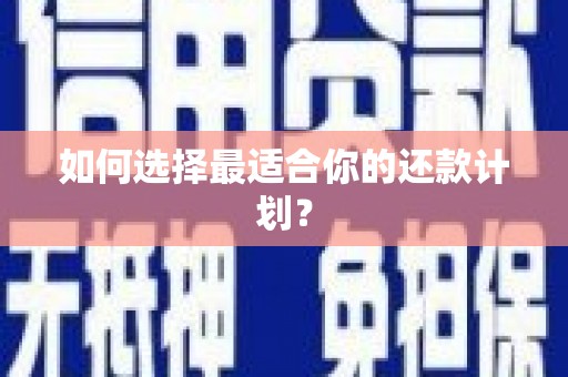 徐闻如何选择最适合你的还款计划？