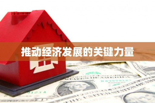 徐闻推动经济发展的关键力量