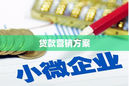 徐闻贷款营销方案