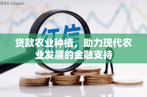 徐闻贷款农业种植，助力现代农业发展的金融支持